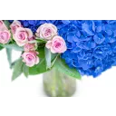 Bouquet of hydrangeas and spray roses